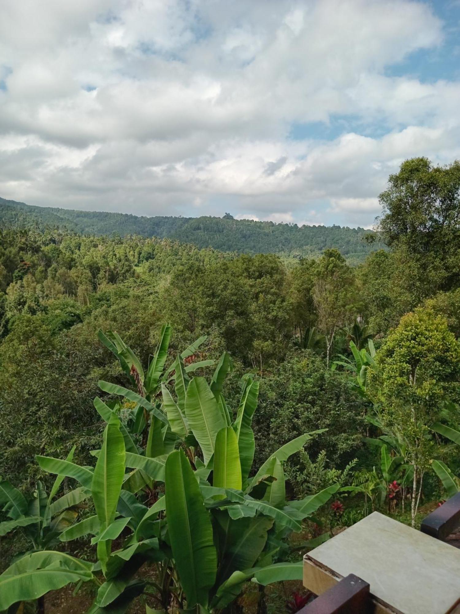 Kanaya Homestay & Warung Heaven Munduk  Luaran gambar
