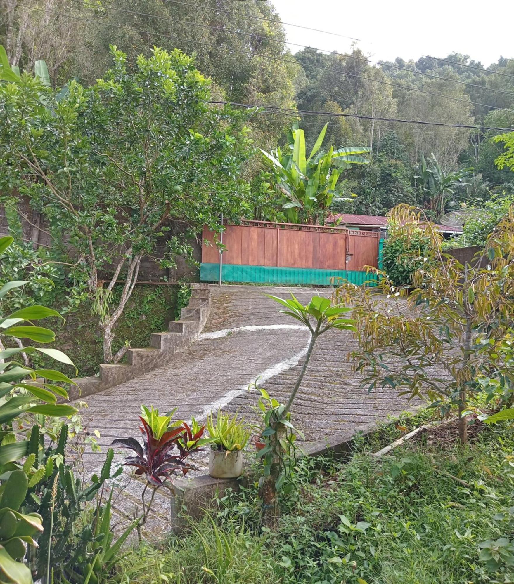 Kanaya Homestay & Warung Heaven Munduk  Luaran gambar